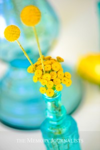 Memory Journalists Nace Le Rivage_031 Photo by Memory Journalists