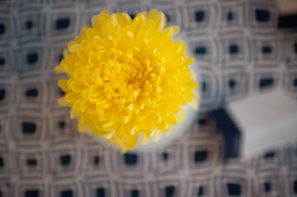 Mailen and Andrew Married-661