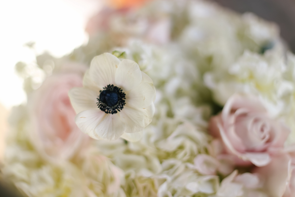 View More: http://koriandjared.pass.us/2015-06-06-eric-brianna-collection-images