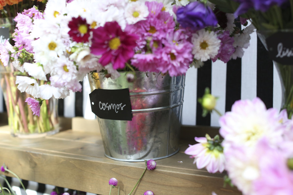 COPY-WROpenHouse2015_0B5B0606