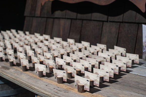 Plumpjack Squaw Valley Wedding Details