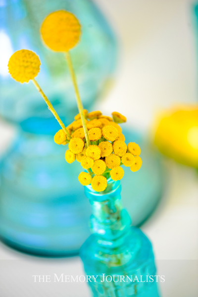 Photo by Memory Journalists